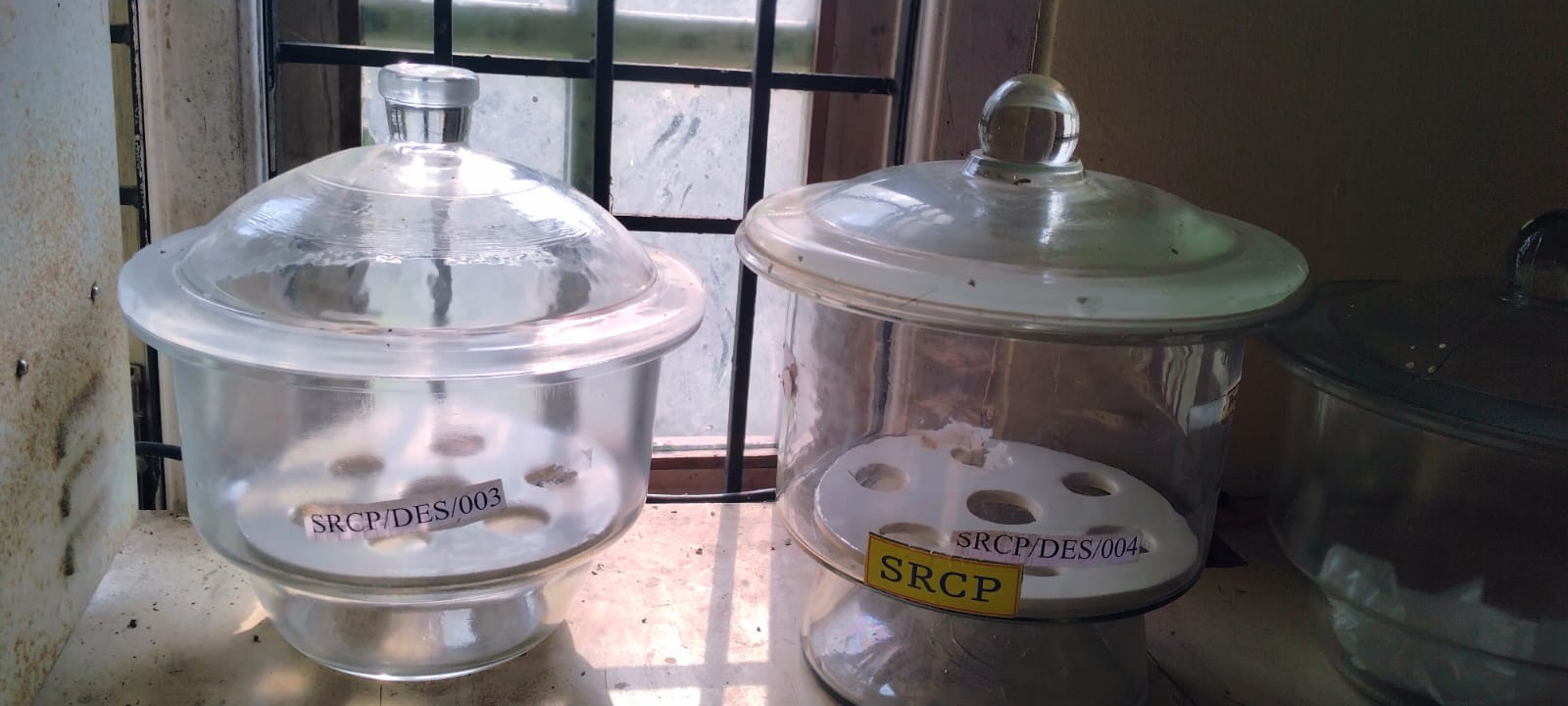 Faculty Development Program